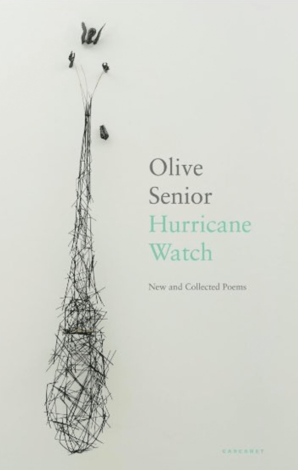 Book cover for Hurricane Watch: New and Collected Poems by Olive Senior, featuring an abstract line drawing of a funnel shape, highlighted in the February 2022 Bocas Book Bulletin.