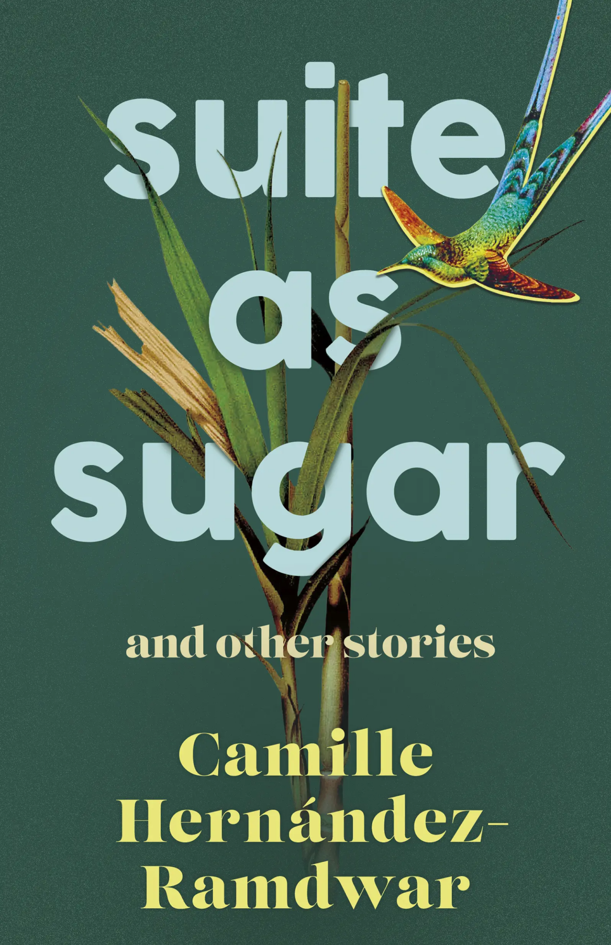 Book cover for the May 2023 Bocas Book Bulletin release “Suite as Sugar and Other Stories” by Camille Hernández-Ramdwar, featuring a hummingbird and tall grass on a green background.