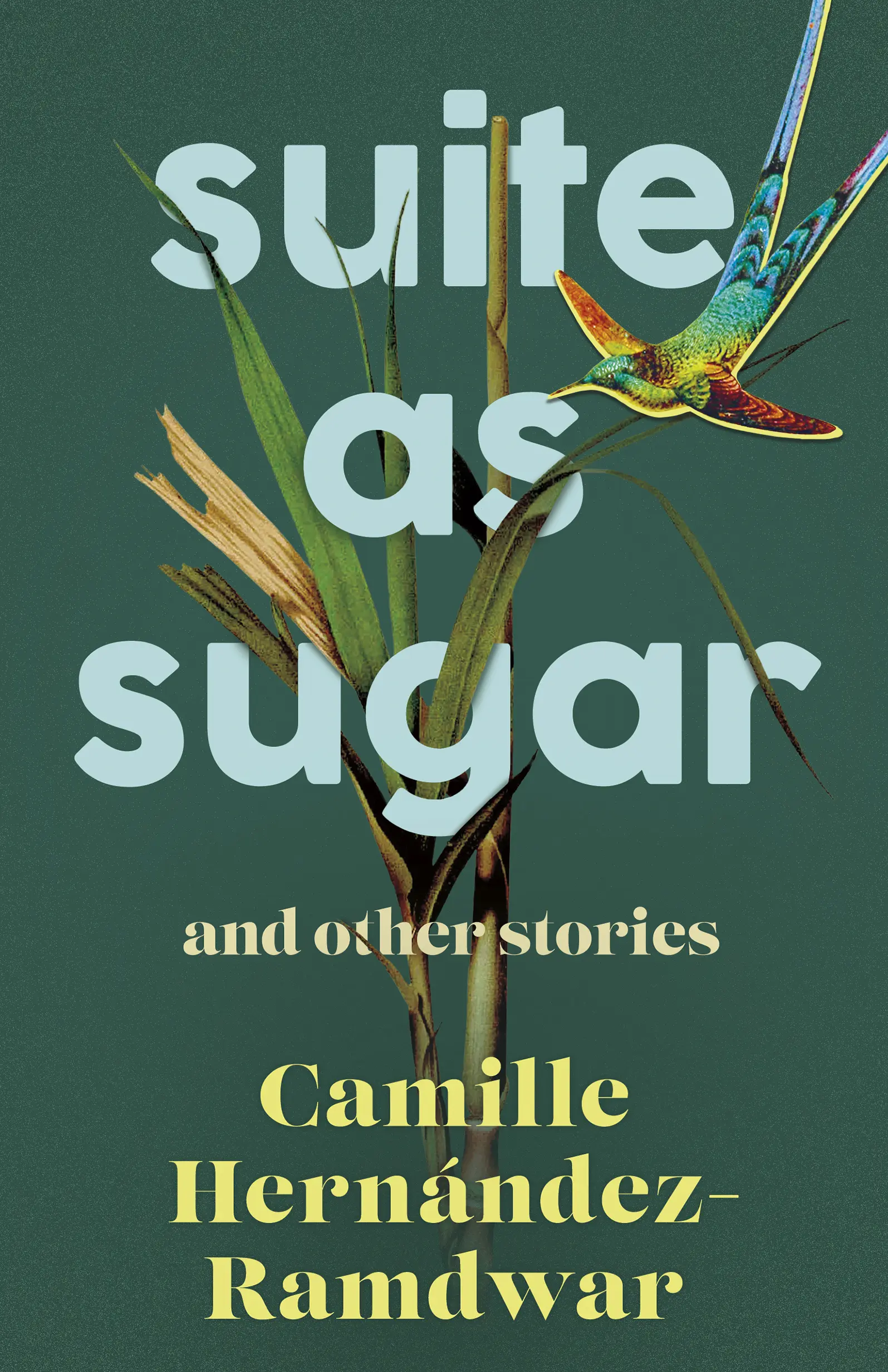 Book cover for the May 2023 Bocas Book Bulletin release “Suite as Sugar and Other Stories” by Camille Hernández-Ramdwar, featuring a hummingbird and tall grass on a green background.